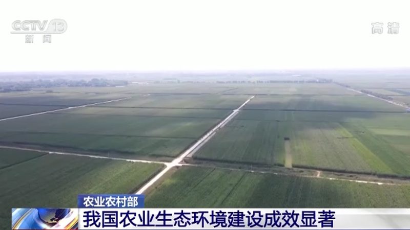 小成本農(nóng)產(chǎn)品代理加盟，如何選擇合適的項目？**