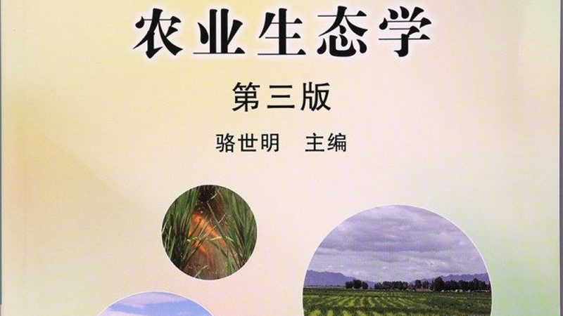 果蔬批發(fā)價格波動原因探析