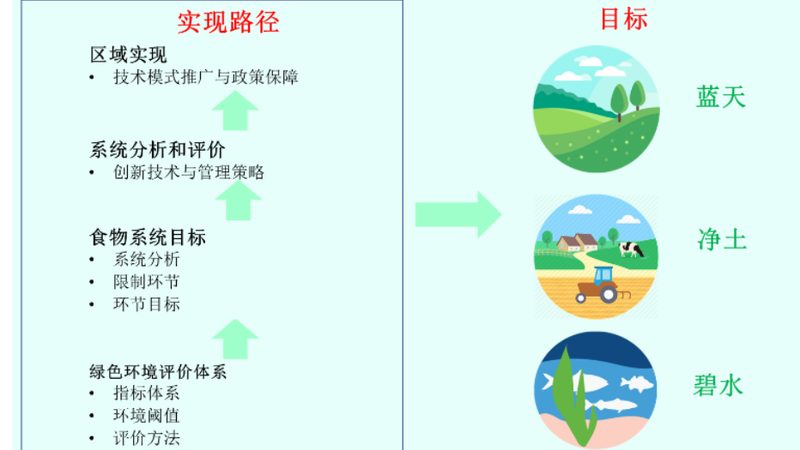 露天果園病害防治，如何提升防效？**