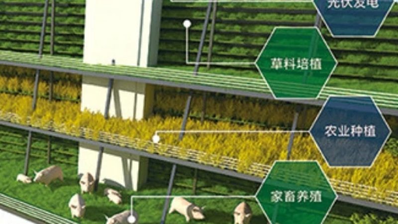 農(nóng)業(yè)產(chǎn)業(yè)園招商優(yōu)惠政策：如何高效申報(bào)**