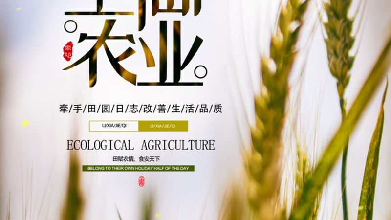 茶葉綠色食品認(rèn)證流程詳解